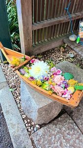 川越 幸すし（かわごえ こうすし） 3枚目