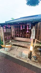 川越 幸すし（かわごえ こうすし） 7枚目