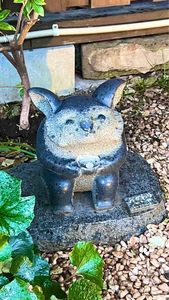 川越 幸すし（かわごえ こうすし） 8枚目