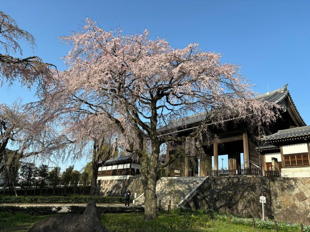 それなはとけさんが投稿した多磨霊園駅に関する口コミの画像