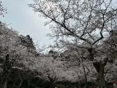 多宝塔