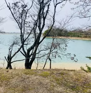三好池