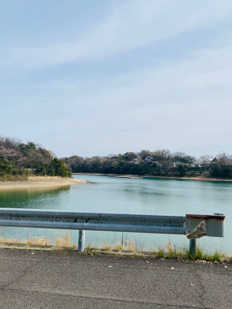 ayumickyさんが投稿した三好池に関する口コミの画像