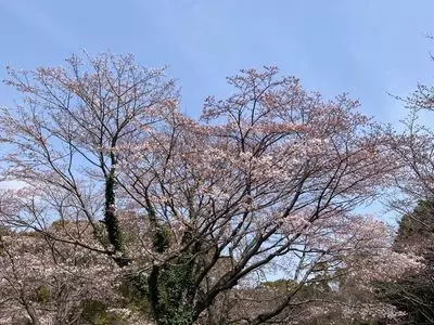 青葉の森公園