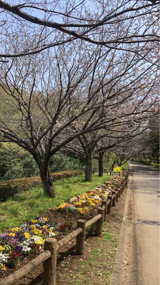 Catherine.yさんが投稿した青葉の森公園に関する口コミの画像