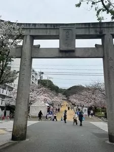 西公園のさくら