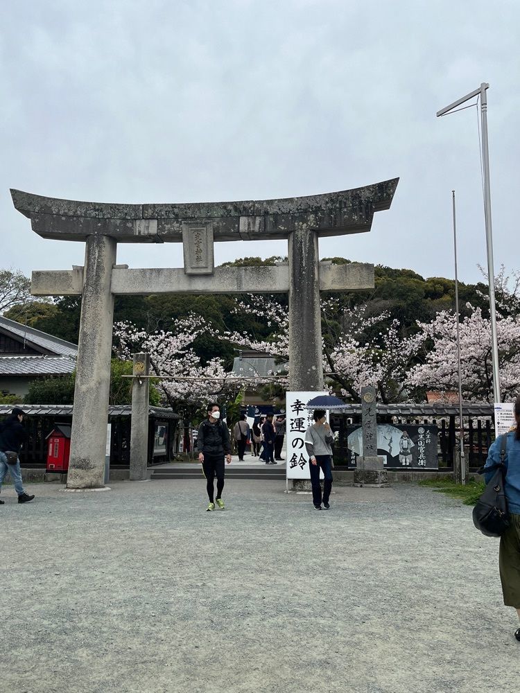 ヤベっちさんが投稿した西公園のさくらに関する口コミの画像