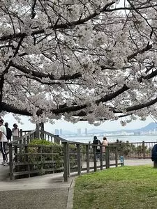 西公園