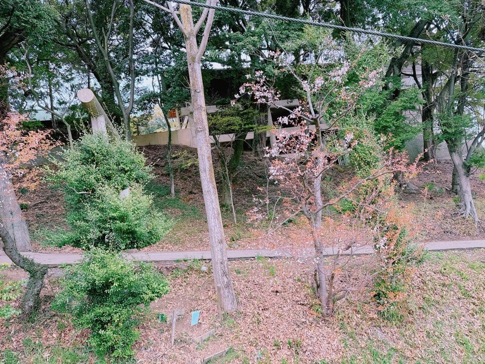 鉄道こまちさんが投稿した松山城ロープウェイ・リフトに関する口コミの画像