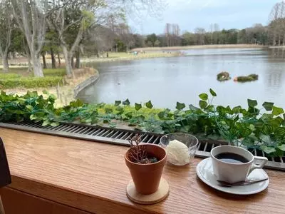 MaSiLo cafe（マジロ カフェ）