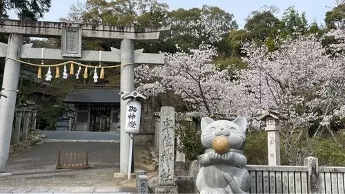 亀鶴公園の桜