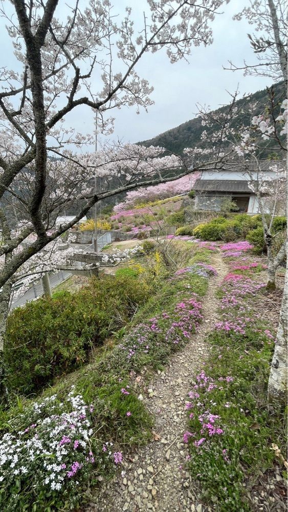 みぃさんが投稿した広棚花の里に関する口コミの画像