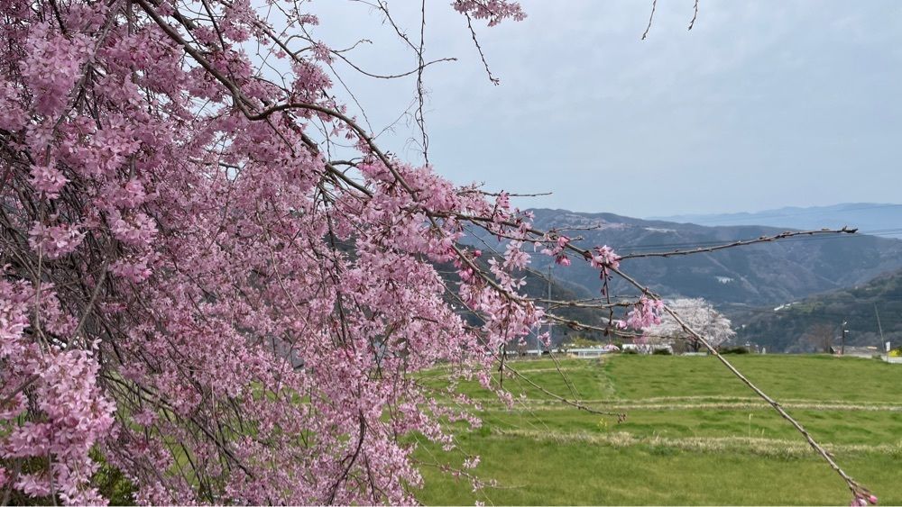 みぃさんが投稿した広棚花の里に関する口コミの画像