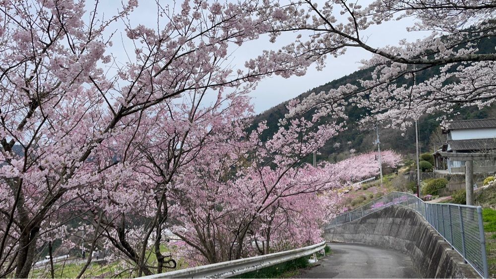 みぃさんが投稿した広棚花の里に関する口コミの画像