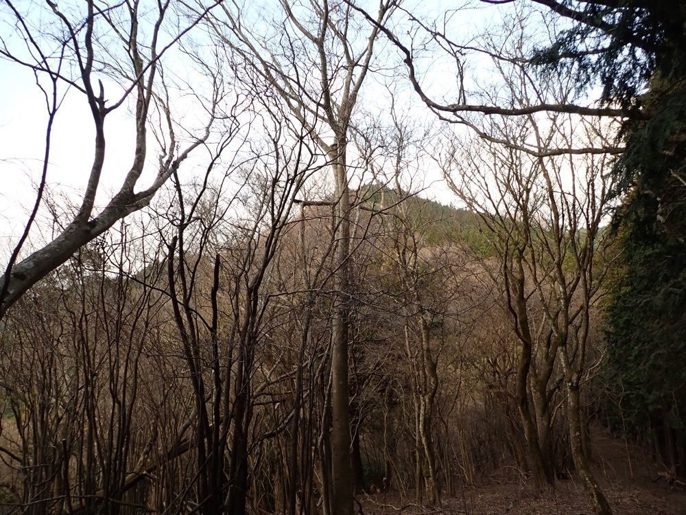 Howl Monさんが投稿した東海自然歩道清水コースに関する口コミの画像