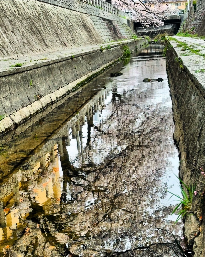 一本松川緑道