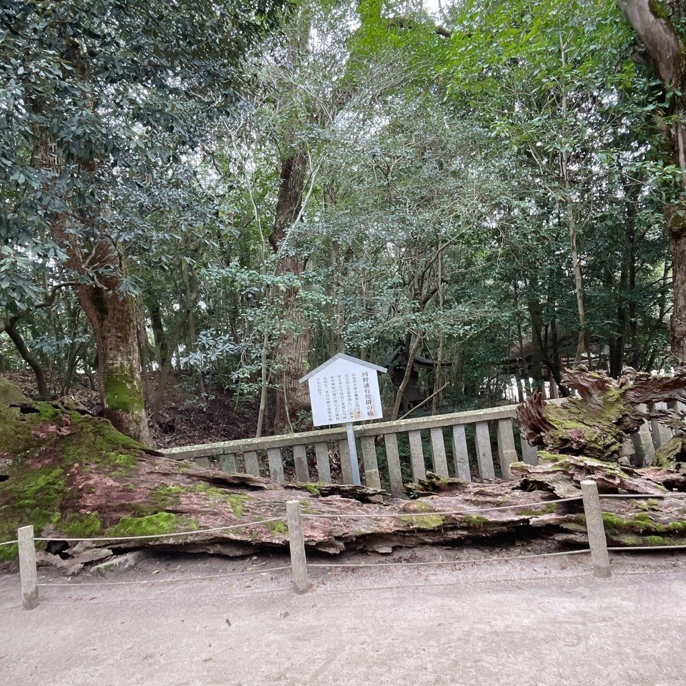 Danjouさんが投稿した大山祇神社本殿に関する口コミの画像