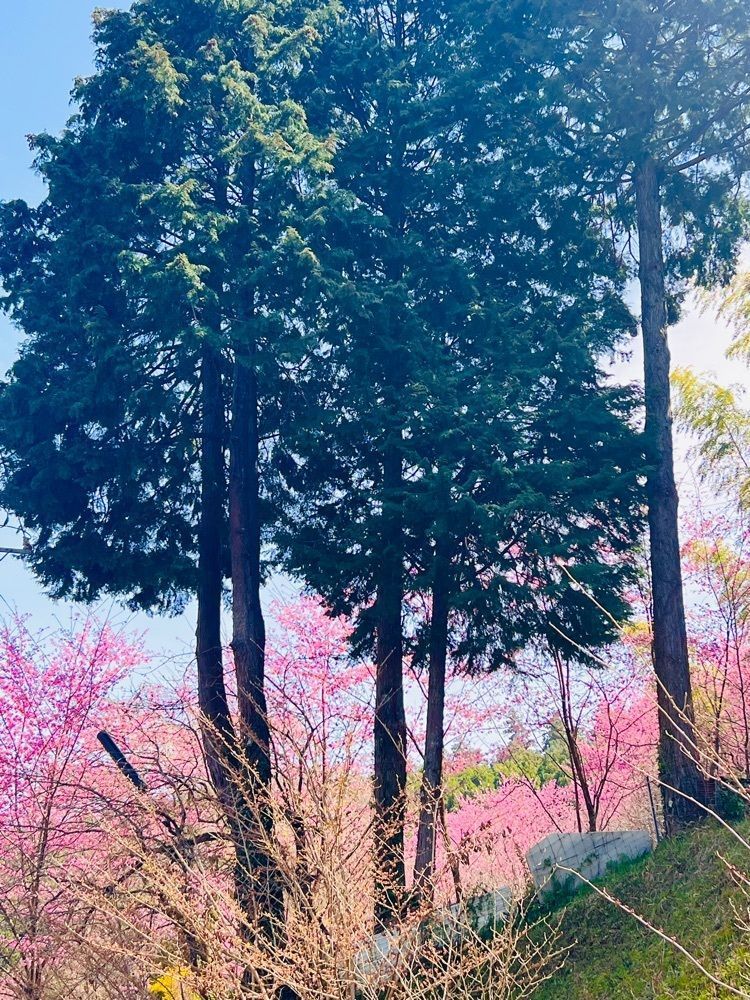 ビンカさんが投稿した十八丁目茶屋に関する口コミの画像