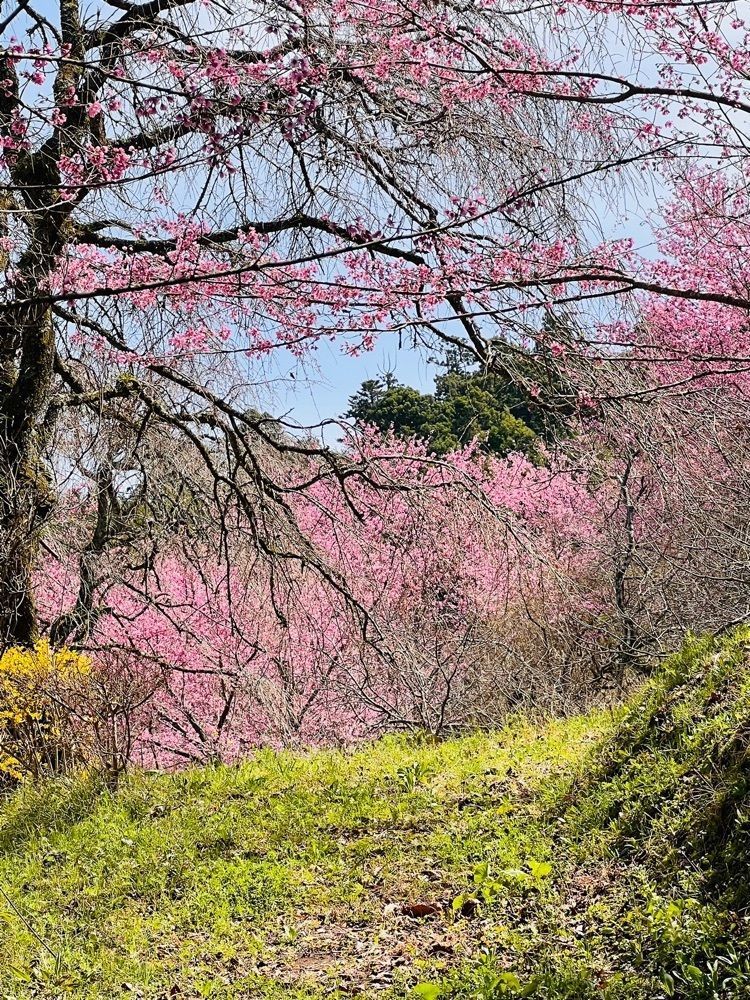 ビンカさんが投稿した十八丁目茶屋に関する口コミの画像