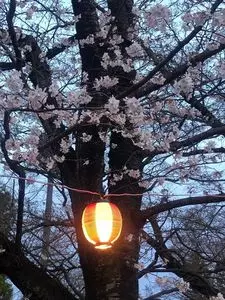 小瀬スポーツ公園