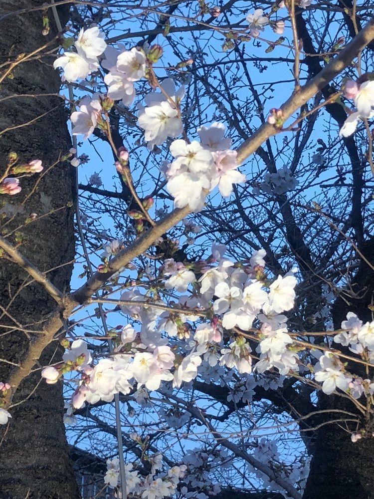 take.aさんが投稿した小瀬スポーツ公園に関する口コミの画像
