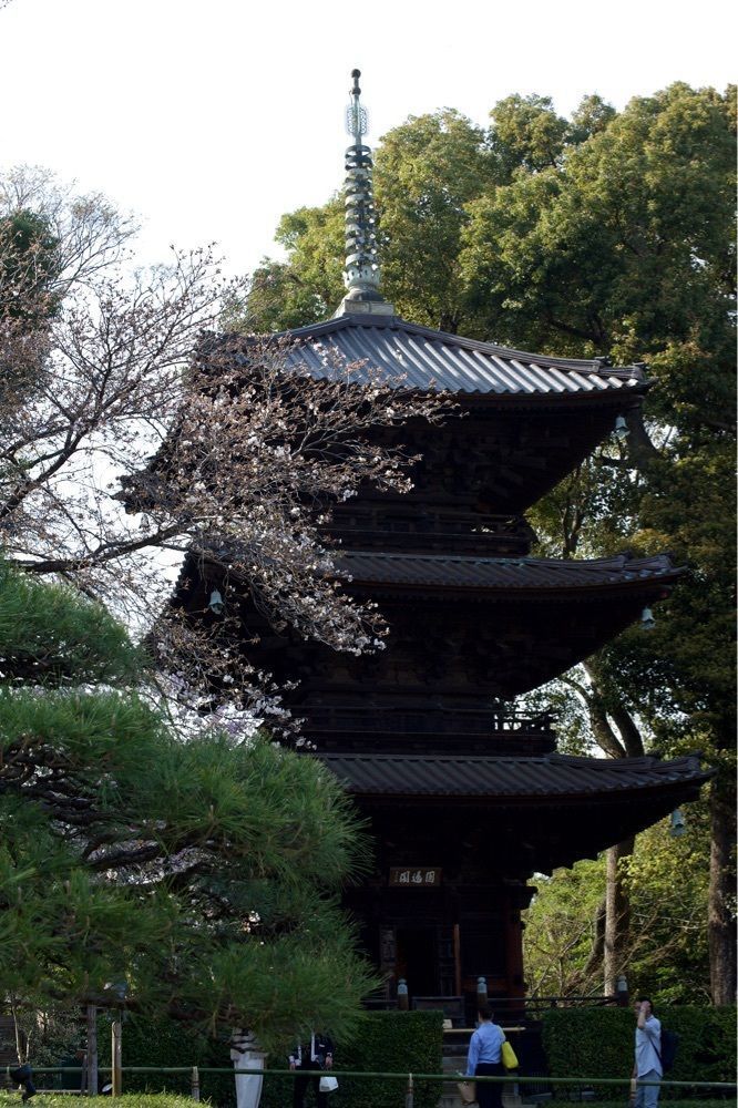 junkunさんが投稿した椿山荘 庭園に関する口コミの画像