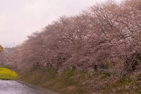 龍巌淵