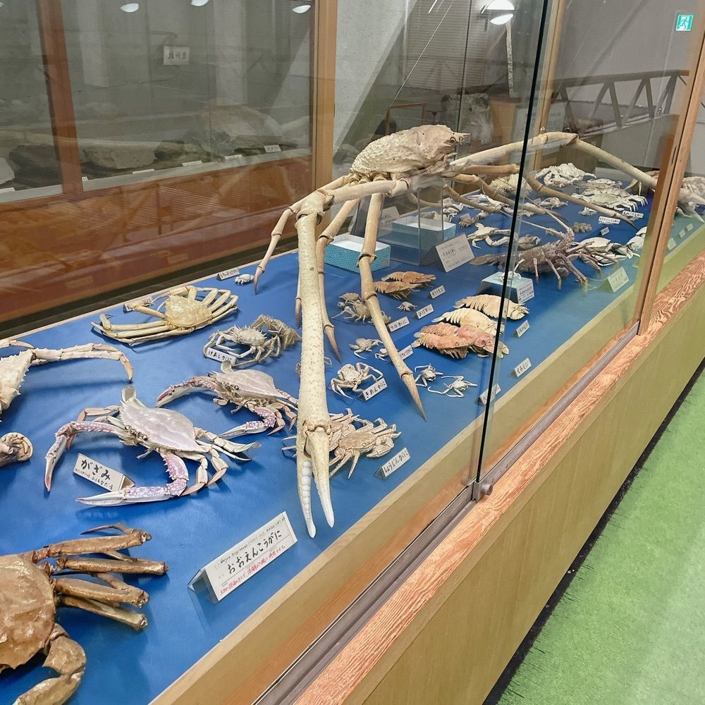 Danjouさんが投稿した海事博物館に関する口コミの画像