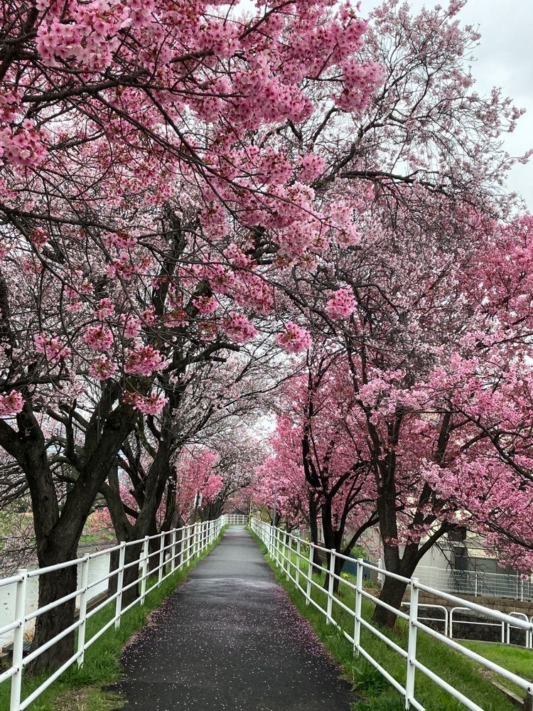 Nさんが投稿した甲府市に関する口コミの画像