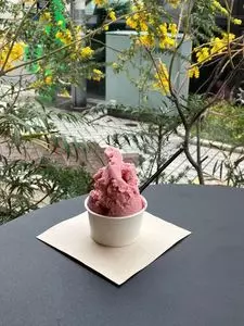 イルクルソーレ（il cursore）