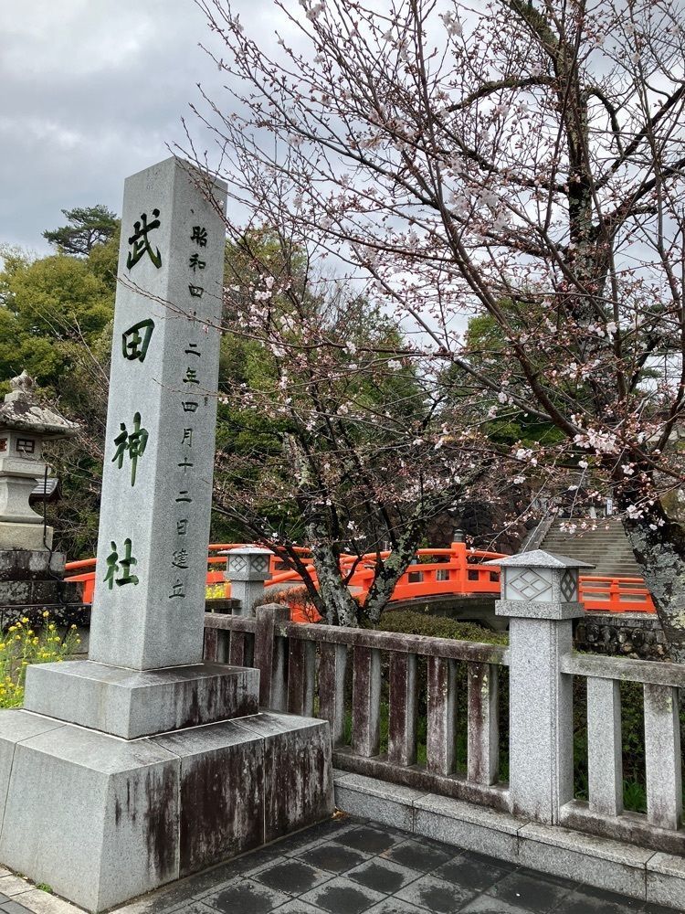 Nさんが投稿した武田神社の桜に関する口コミの画像