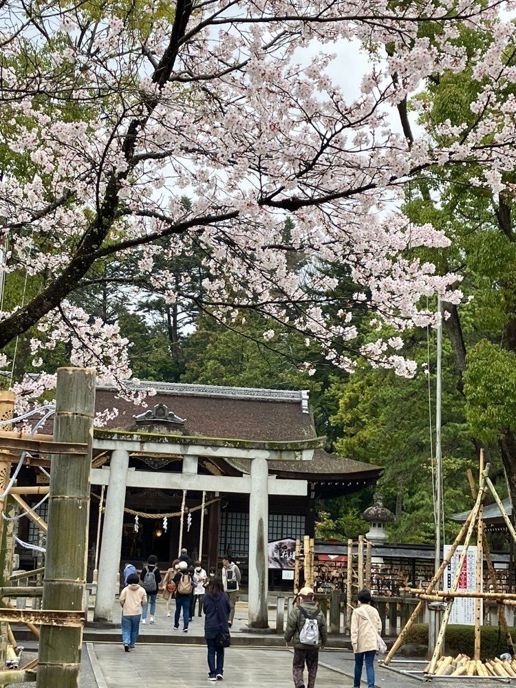 Nさんが投稿した武田神社の桜に関する口コミの画像