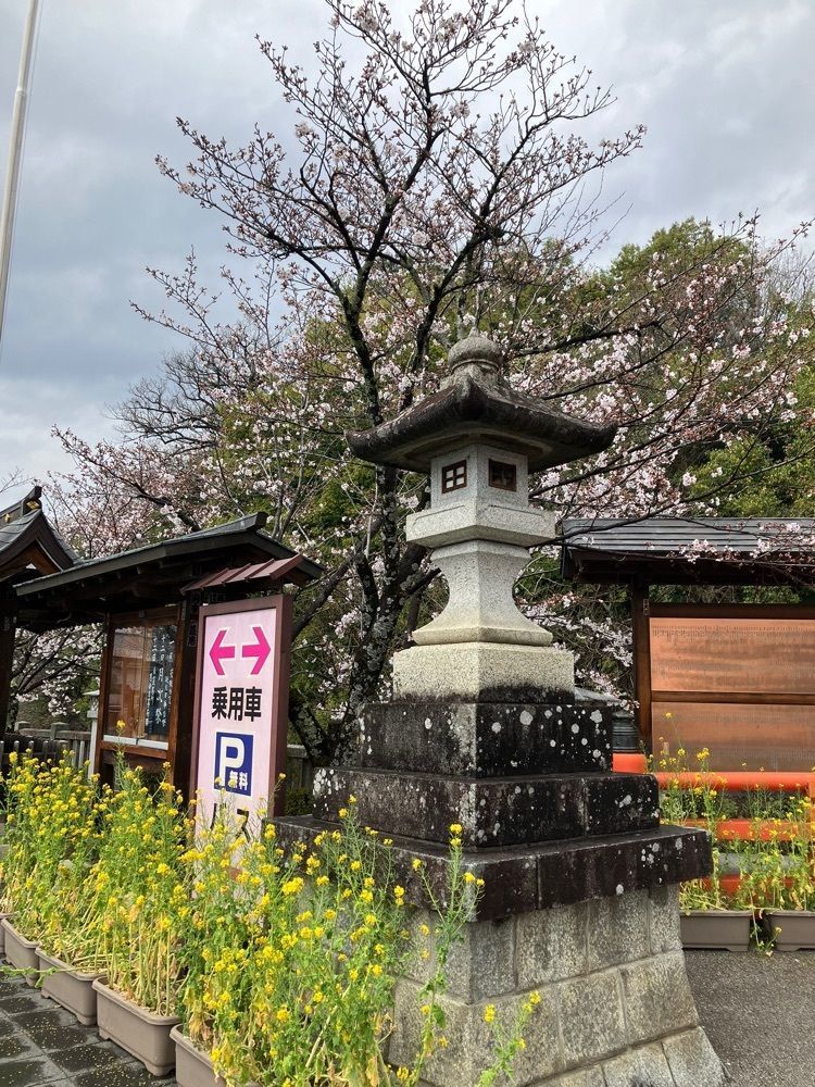 Nさんが投稿した武田神社の桜に関する口コミの画像