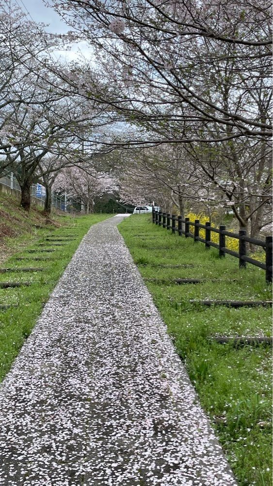みぃさんが投稿した道の駅 ながおに関する口コミの画像
