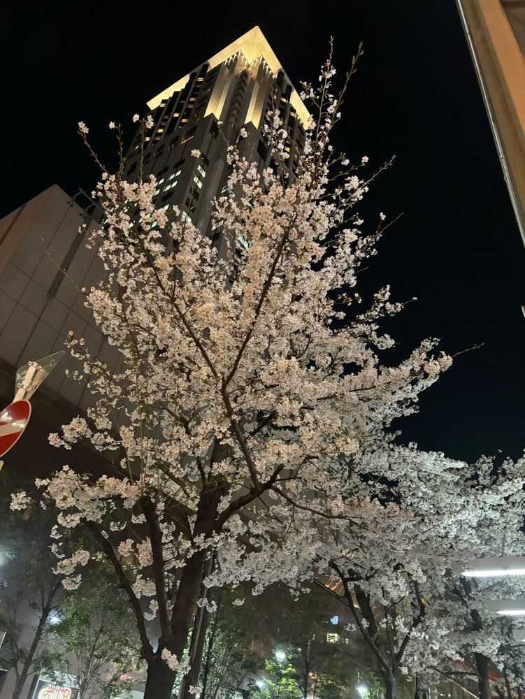 chou chou tabiさんが投稿した梅田芸術劇場メインホールに関する口コミの画像