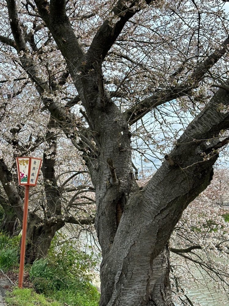 blossom&C7さんが投稿した旧山田家住宅に関する口コミの画像