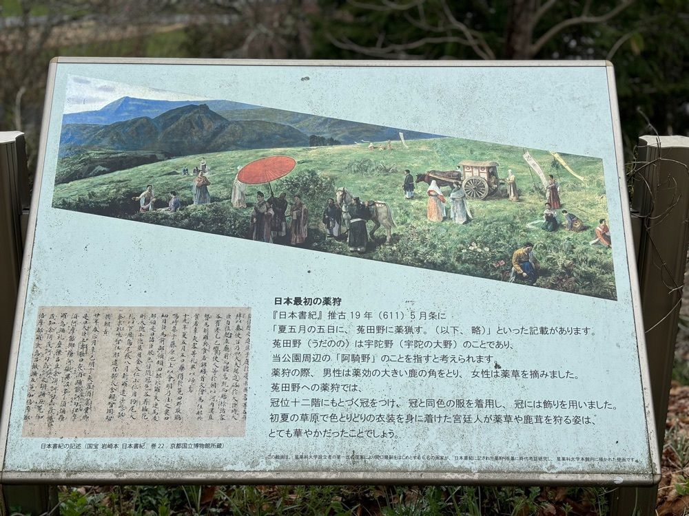 それなはとけさんが投稿した大宇陀かぎろひの丘万葉公園に関する口コミの画像