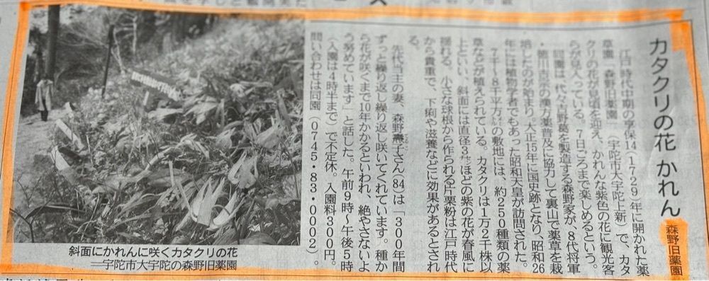 それなはとけさんが投稿した大宇陀かぎろひの丘万葉公園に関する口コミの画像