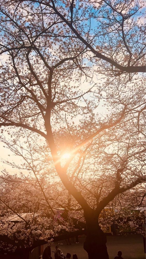 miiさんが投稿した峠の茶屋に関する口コミの画像