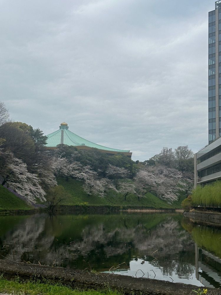 あんよさんが投稿した清水門に関する口コミの画像