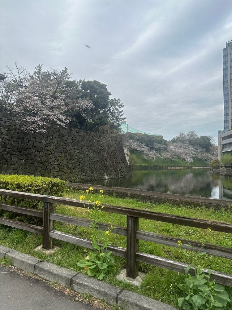 あんよさんが投稿した清水門に関する口コミの画像