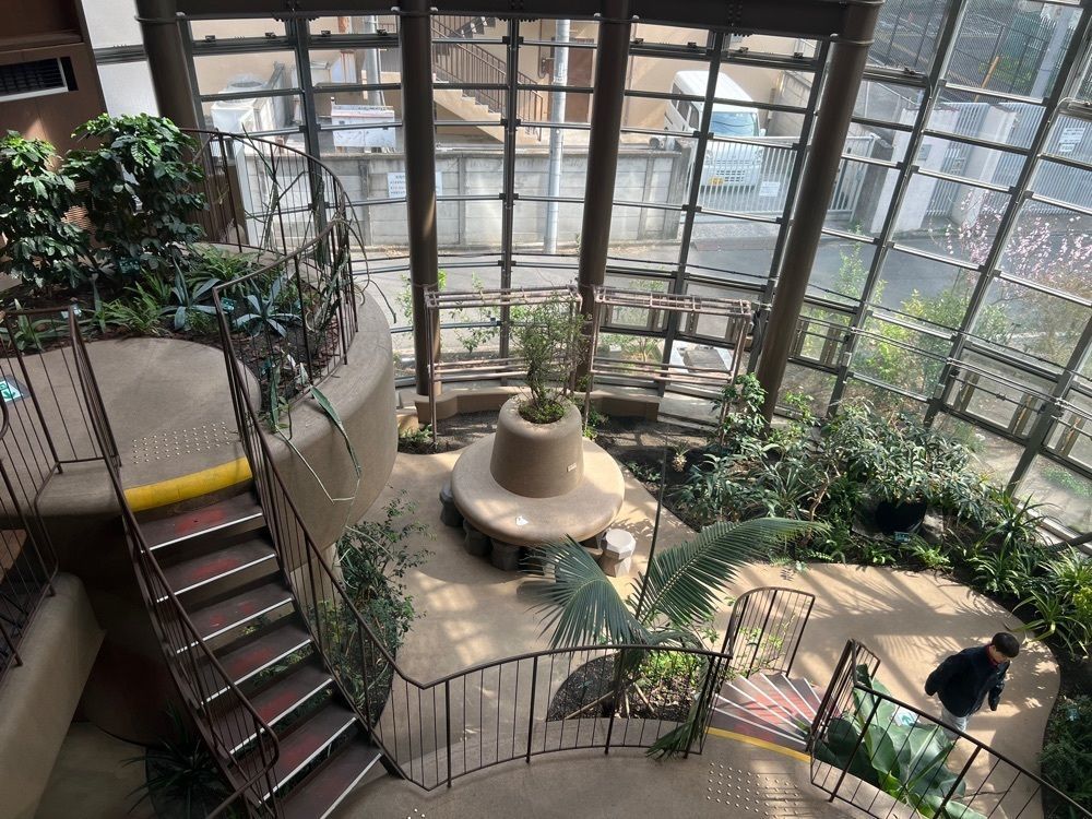 fivesenses_mさんが投稿した渋谷区ふれあい植物センターに関する口コミの画像