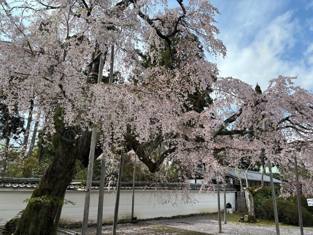 それなはとけさんが投稿した三宝院に関する口コミの画像
