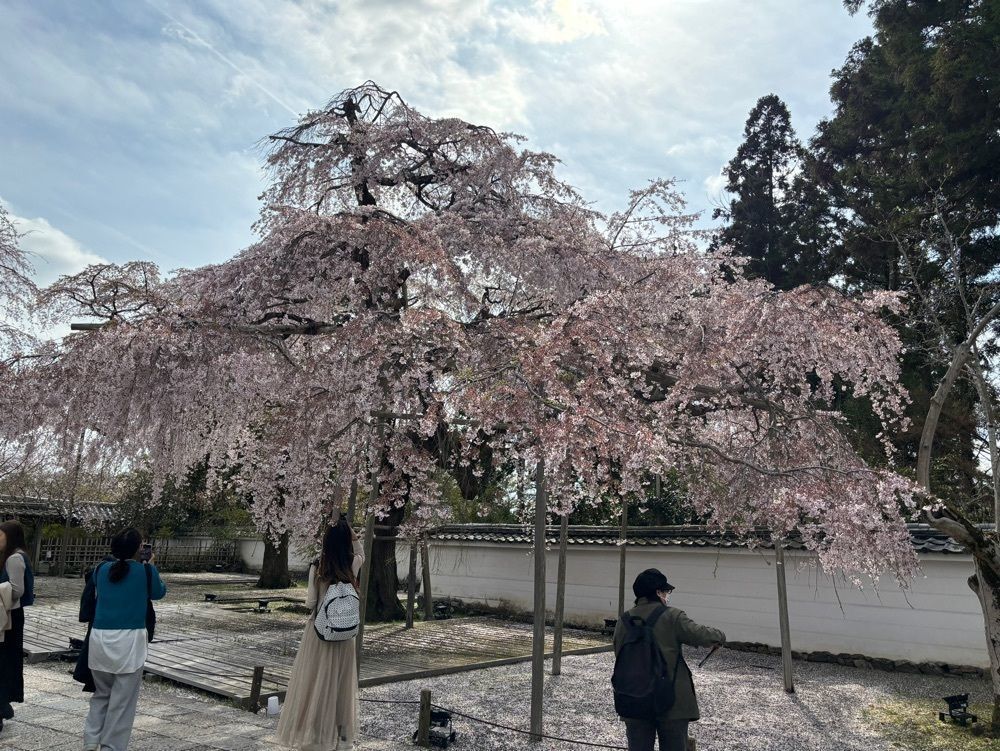 それなはとけさんが投稿した三宝院に関する口コミの画像
