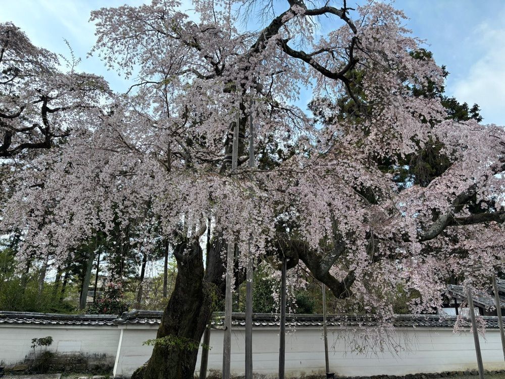 それなはとけさんが投稿した三宝院に関する口コミの画像