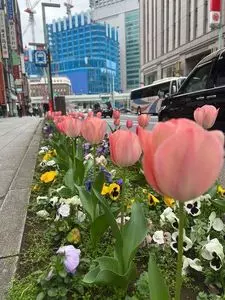 コレド室町1 1枚目