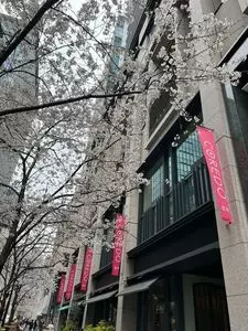 コレド室町1 2枚目
