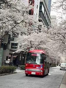 コレド室町1 1枚目