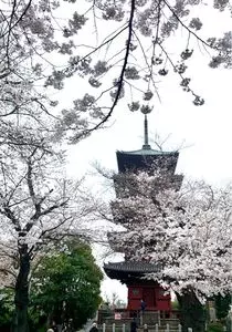 池上本門寺