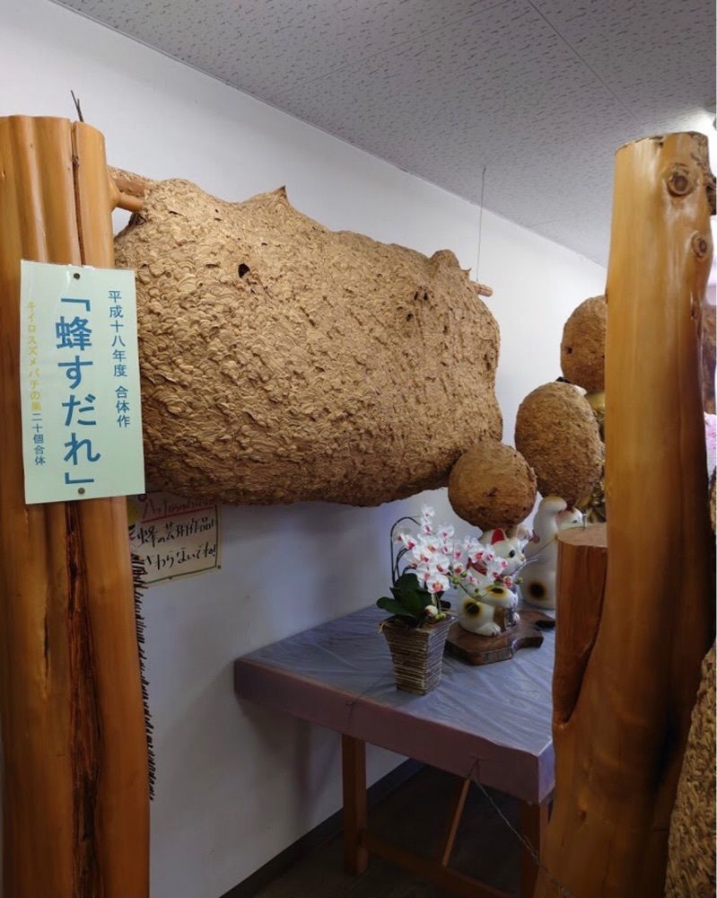 ＤＪゴン太さんが投稿した蜂天国に関する口コミの画像